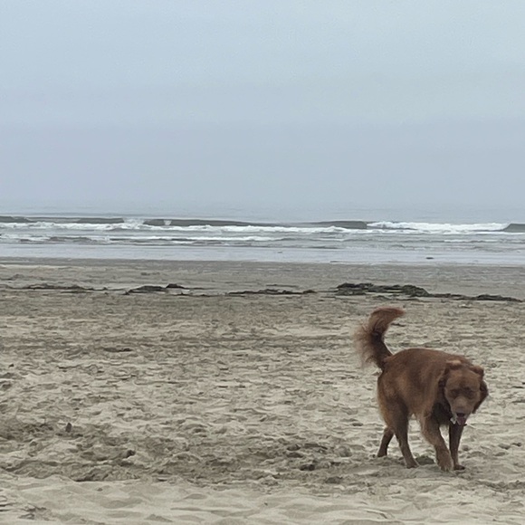 💗💖🌸IM LIVE‼️❤️💃
  Like to be notified plz :) - Picture 10 of 11